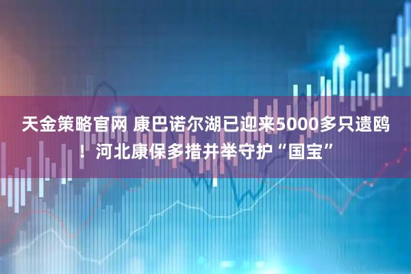 天金策略官网 康巴诺尔湖已迎来5000多只遗鸥！河北康保多措并举守护“国宝”